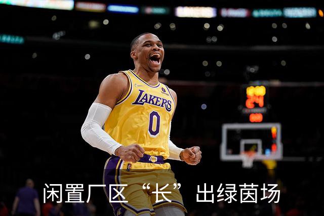 闲置厂区“长”出绿茵场